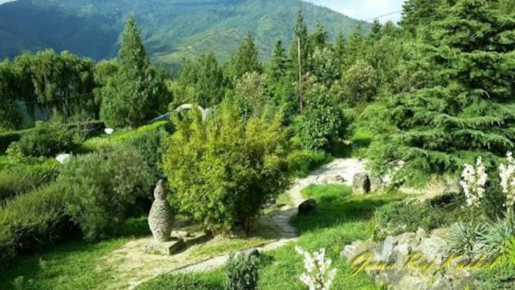 Royal Botanical Garden_5